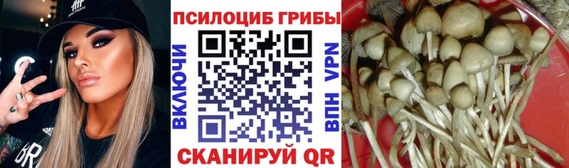 Галлюциногенные грибы мухоморы  mega ссылки  Теберда 